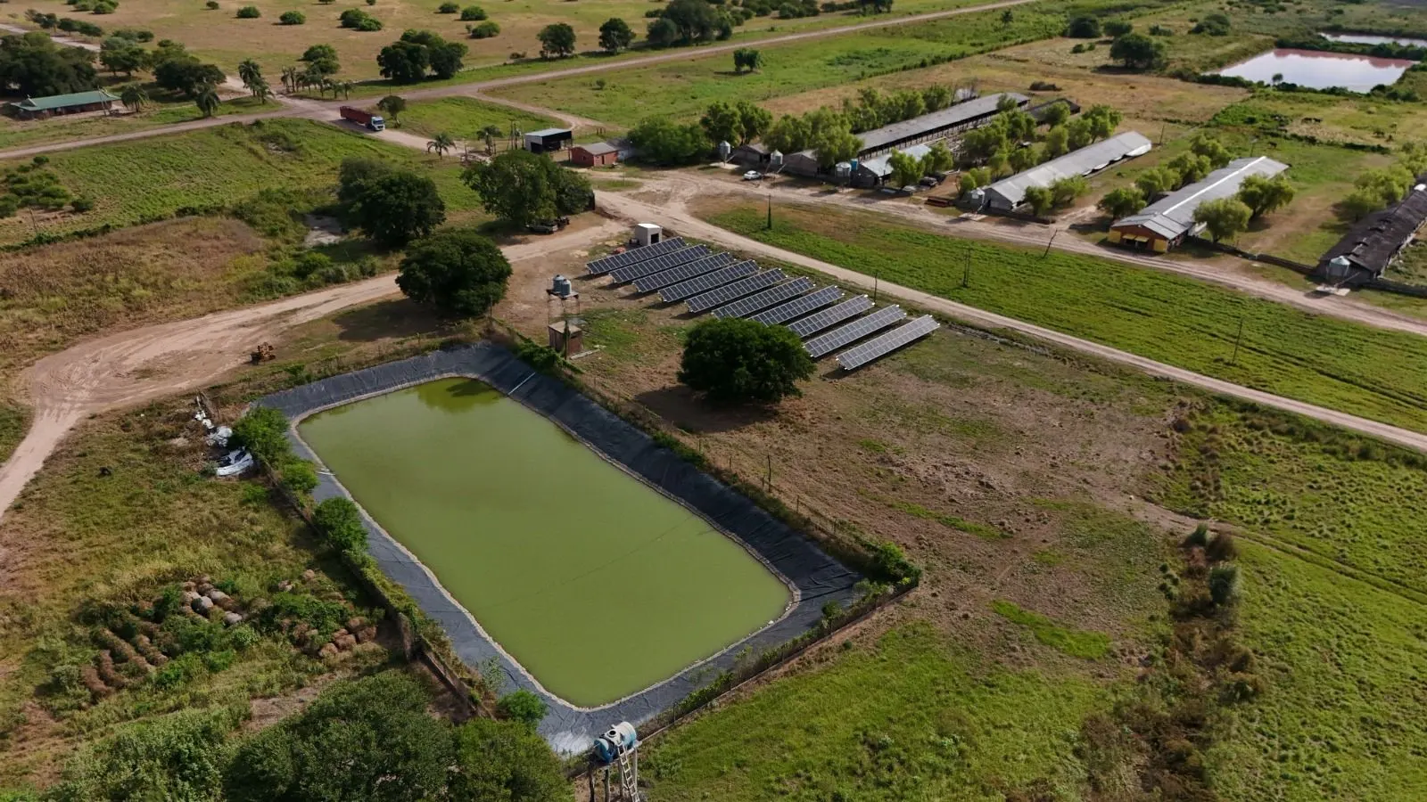 Vista aérea de un establecimiento rural con una planta de paneles solares junto al reservorio de agua y los galpones