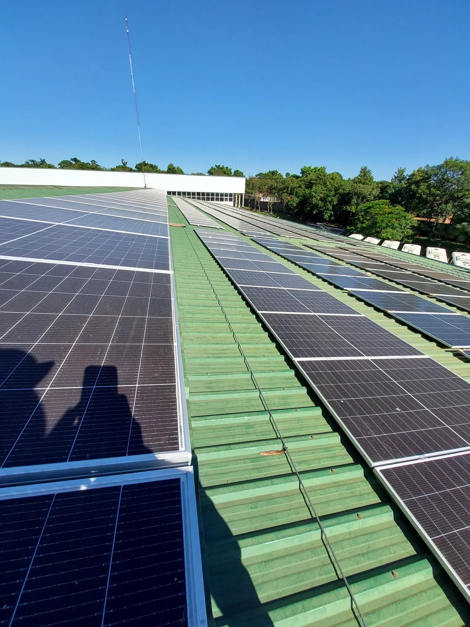 Hileras de paneles solares a lo largo del techo de una nave industrial