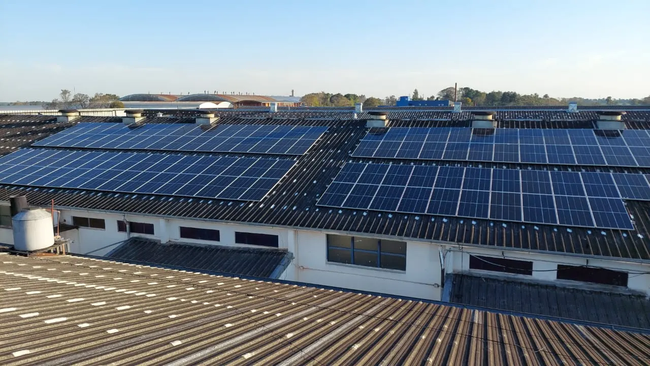 Techo de una nave industrial cubierto de paneles solares